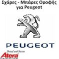 peugeot intro.jpeg